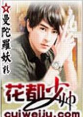 花都少帅txt